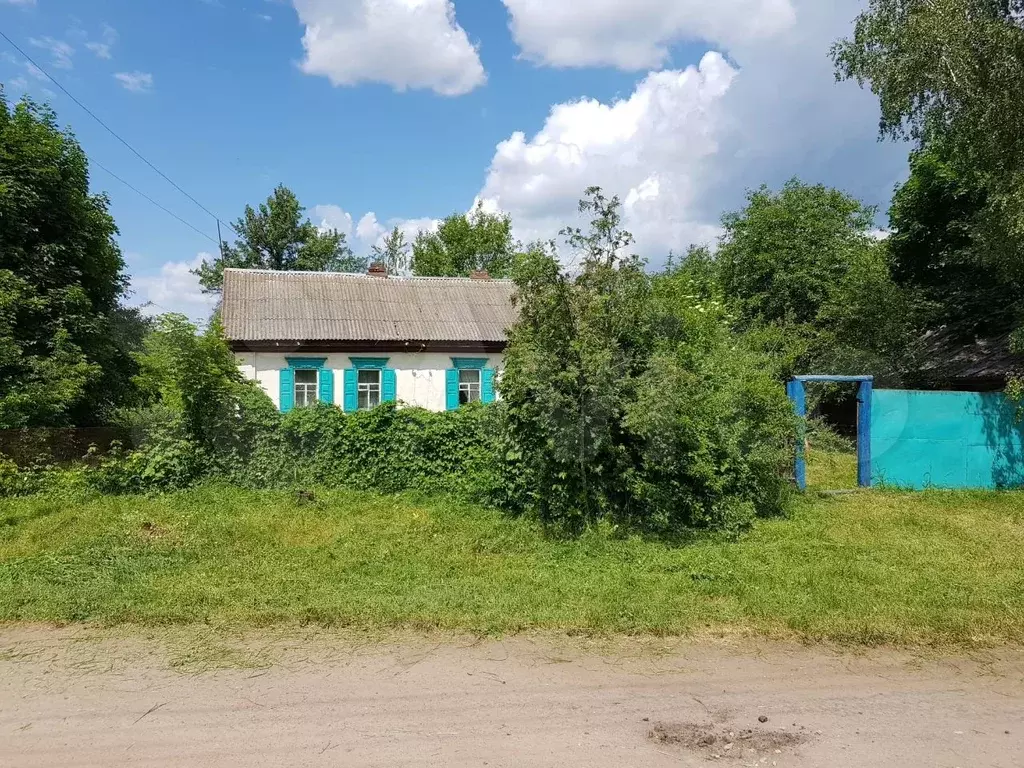 Старая рудня. Старый Кривец Новозыбковский район. Кривец Брянская область. Старый Кривец Брянская область. Село старый Кривец Новозыбковский район.