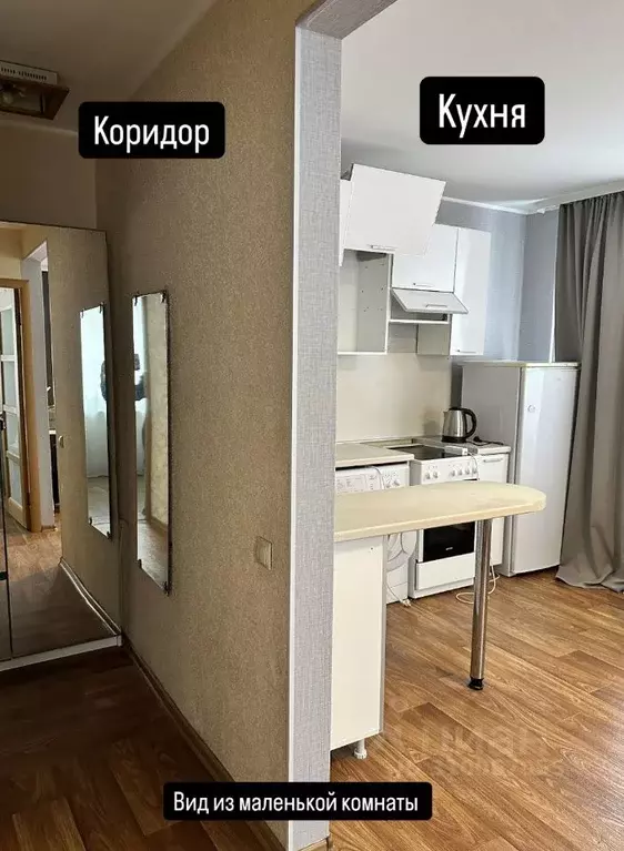 1-к кв. Новосибирская область, Новосибирск Академгородок мкр, ул. ... - Фото 0