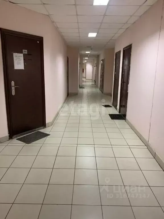 Офис в Ярославская область, Ярославль ул. Наумова, 67/2 (24 м) - Фото 1