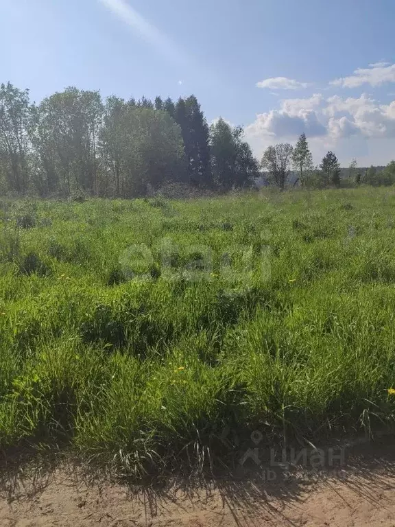 Участок в Вологодская область, д. Евлашево  (12.0 сот.) - Фото 0