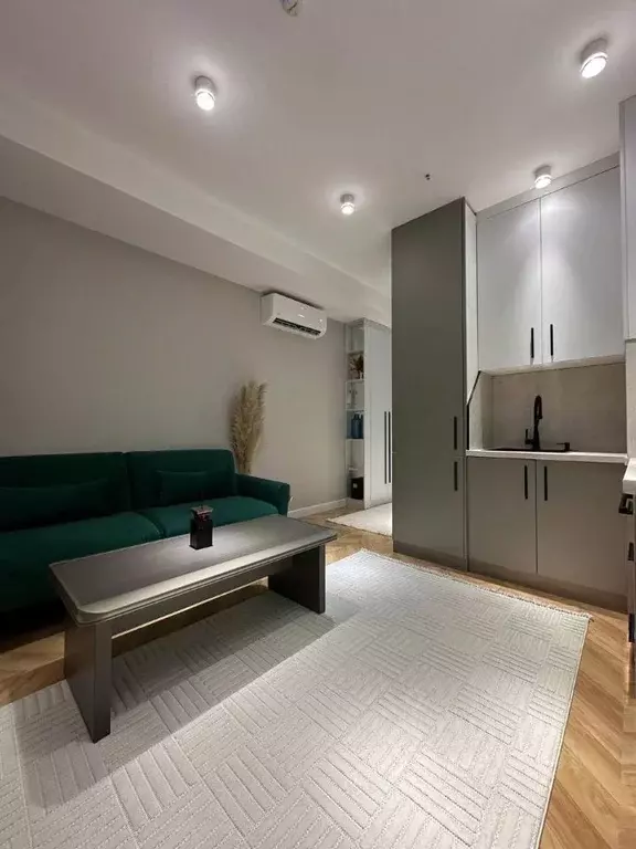 Студия Татарстан, Казань ул. Родины, 26В (29.0 м) - Фото 2
