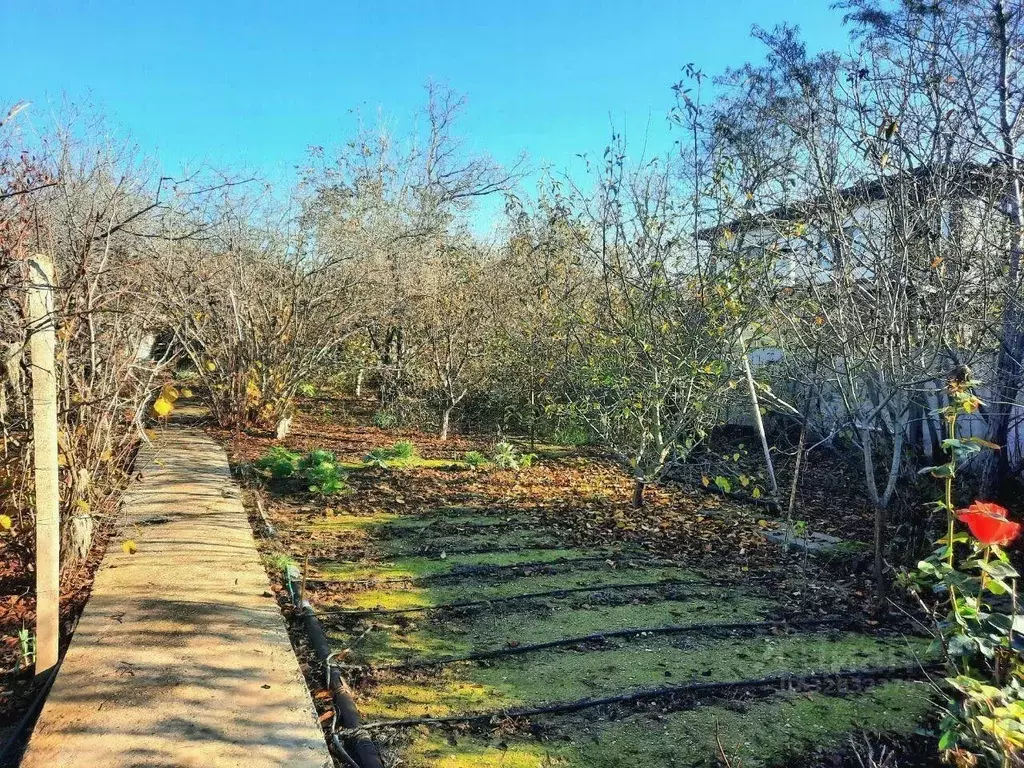 Участок в Севастополь СНТ Зеленстрой ТСН,  (8.0 сот.) - Фото 1