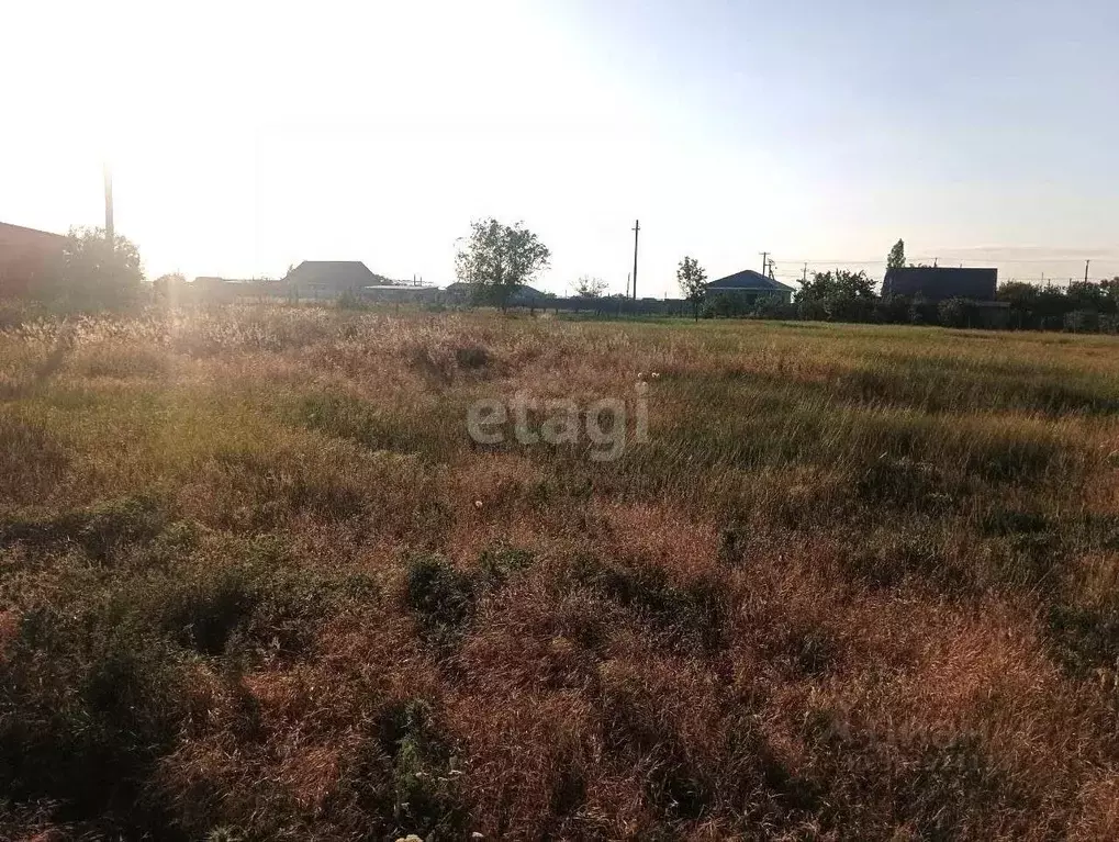 Участок в Крым, Ленинский район, с. Калиновка ул. Полевая (18.0 сот.) - Фото 1