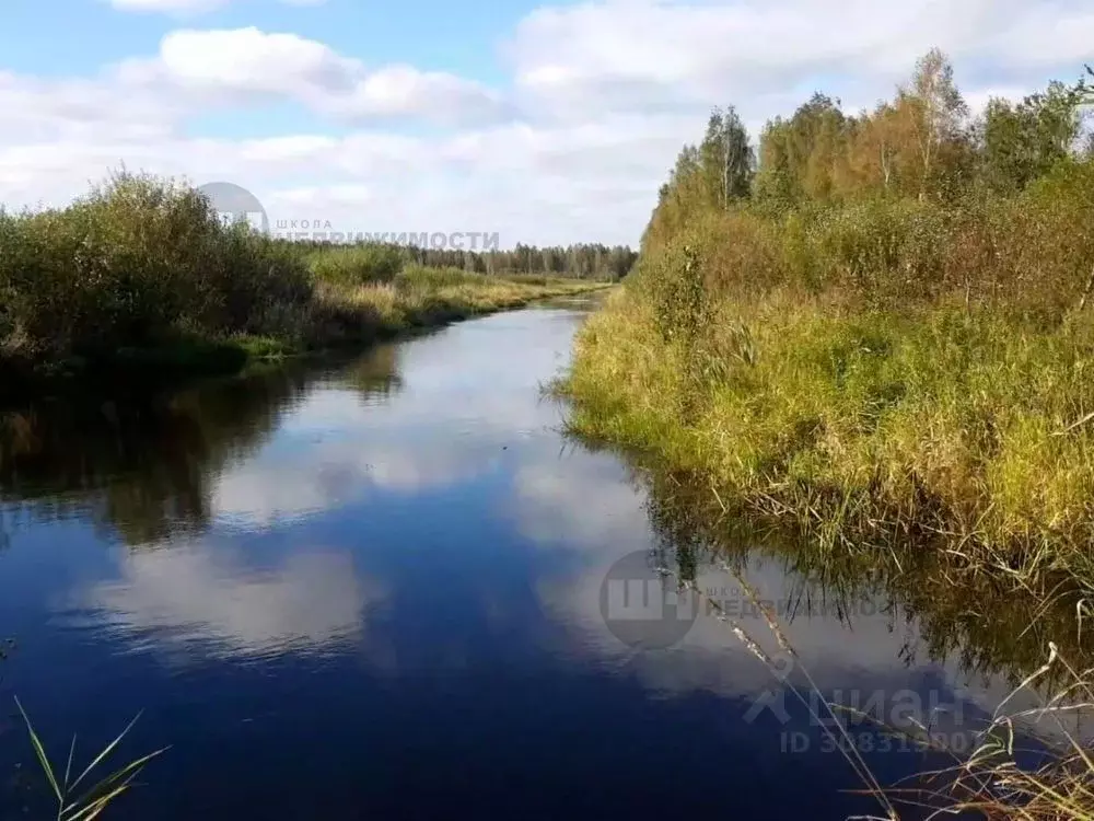 Участок в Ленинградская область, Всеволожский район, Романовское ... - Фото 0