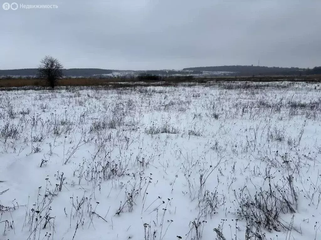 Участок в Саратовская область, Калининск (9 м) - Фото 1
