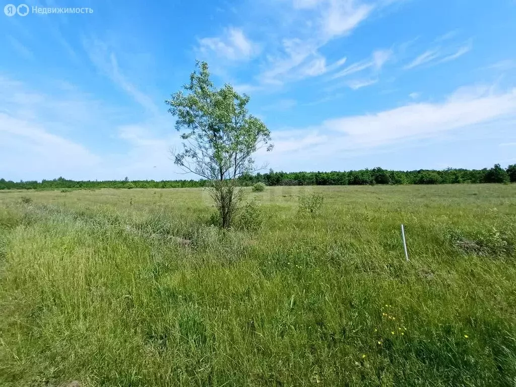 Участок в село Куксово, Речная улица (10 м) - Фото 1