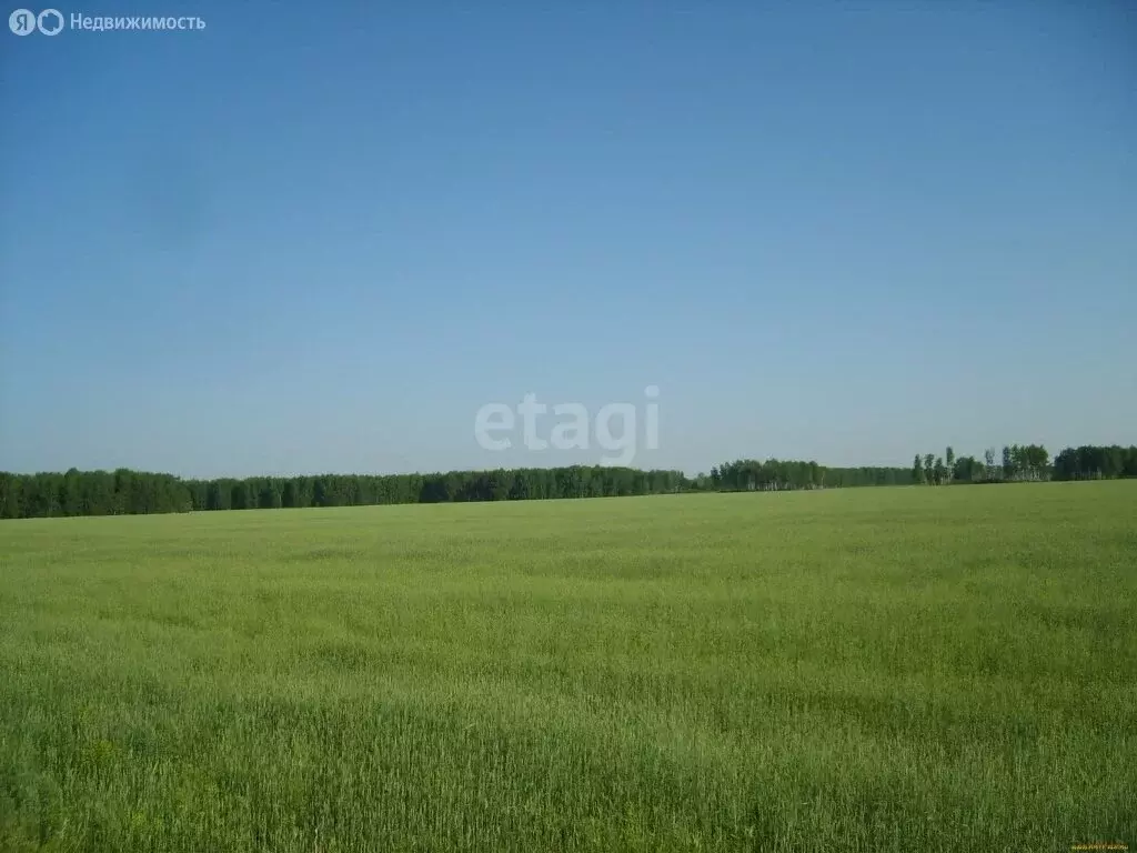 Участок в Тукаевский район, Биюрганское сельское поселение, деревня ... - Фото 1