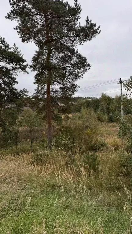 Участок в Московская область, Одинцовский городской округ, с. Луцино, ... - Фото 1