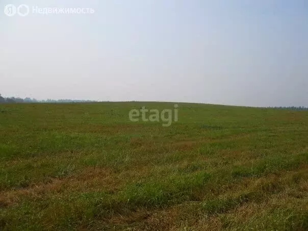 Участок в Московская область, городской округ Серпухов, деревня ... - Фото 1