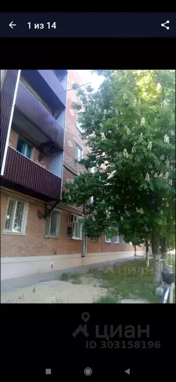 Комната Краснодарский край, Тихорецк ул. Калинина, 28 (18.0 м) - Фото 1