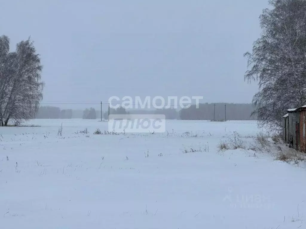 Участок в Омская область, Азовский Немецкий Национальный район, с. ... - Фото 1