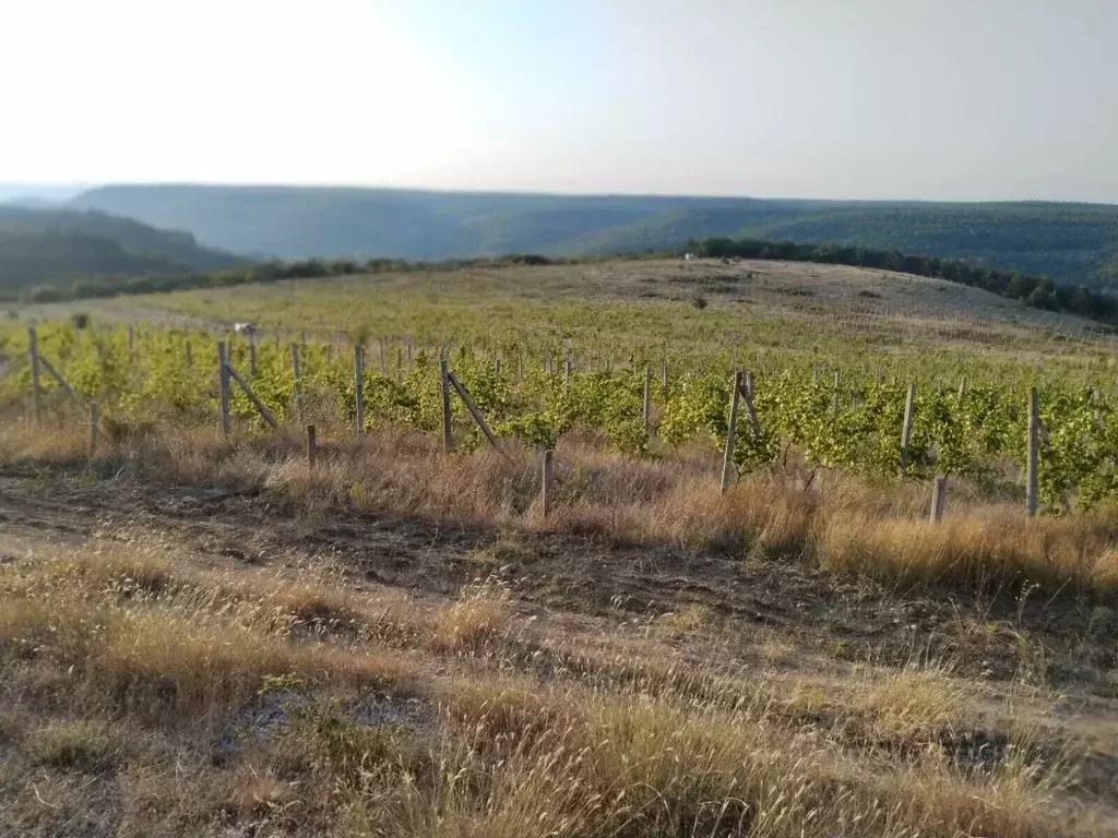 Участок в Севастополь с. Верхнесадовое, ул. Севастопольская, 1 (3.5 ... - Фото 2