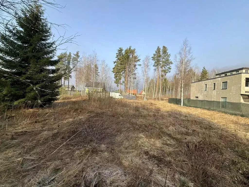 Участок в Ленинградская область, Ломоносовский район, Лебяженское ... - Фото 1