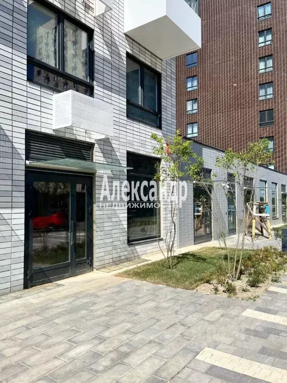 Торговая площадь в Ленинградская область, Всеволожский район, ... - Фото 1