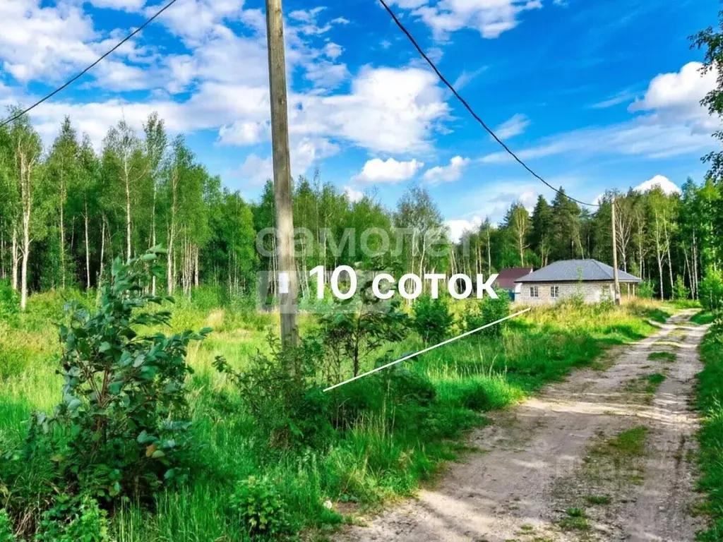 Участок в Ленинградская область, Выборгский район, Полянское с/пос, ... - Фото 2