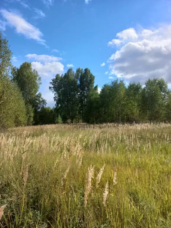 Участок в Тверская область, Торжокский район, д. Грузины Молодежная ... - Фото 1