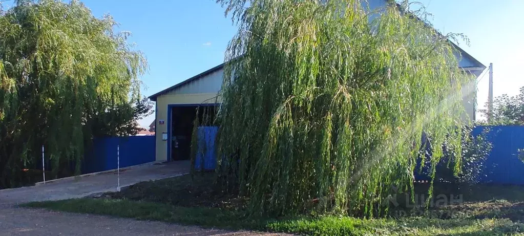 Дом в Оренбургская область, с. Сакмара ул. Просторная, 42 (169 м) - Фото 2