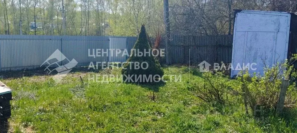 Участок в Рязанская область, Рязанский муниципальный округ, Птицевод ... - Фото 1