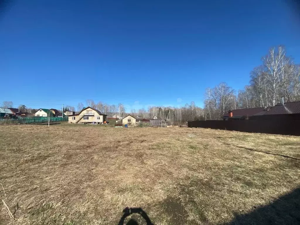 Участок в Новосибирская область, Новосибирский район, Барышевский ... - Фото 1