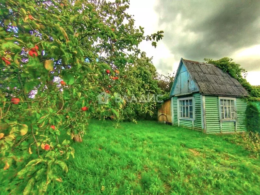 Участок в Калининградская область, Пионерский Степной СНТ, 176 (7.5 ... - Фото 1