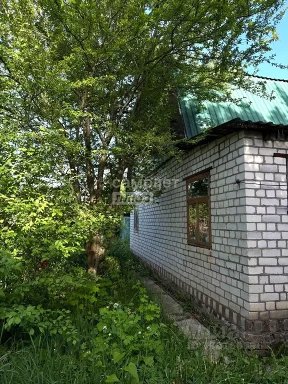 Дом в Курская область, Курск Ветеран 1 СНТ, 503 (49 м) - Фото 2