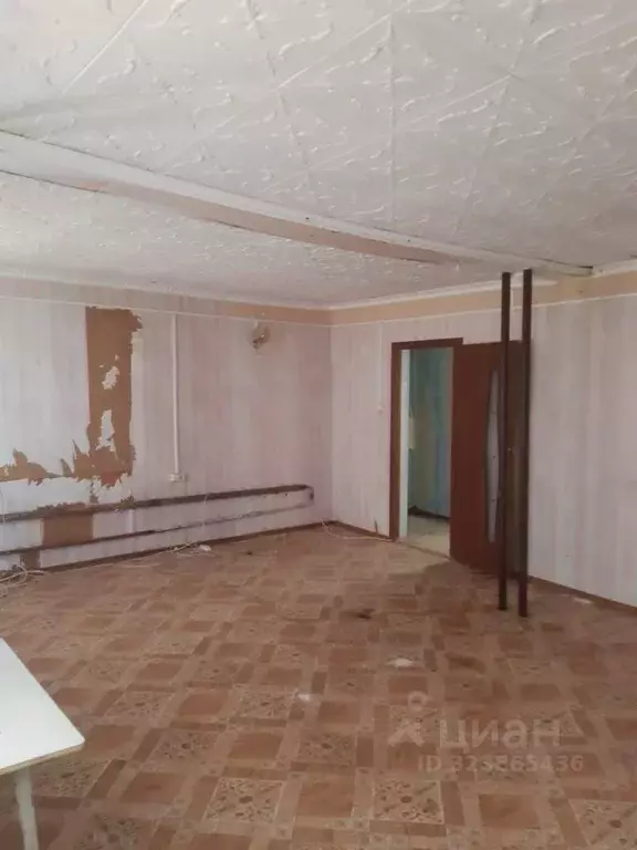 Дом в Саратовская область, с. Федоровка ул. Берегового, 22 (80 м) - Фото 2