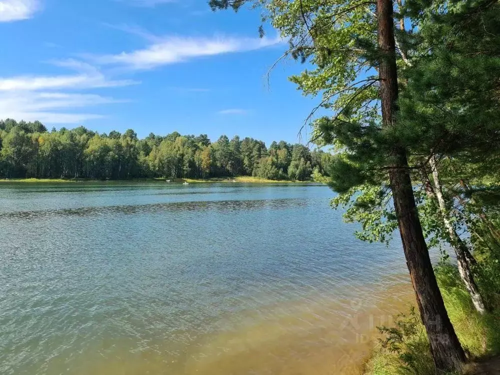 Участок в Иркутская область, Иркутский муниципальный округ, Садко ДПК ... - Фото 1
