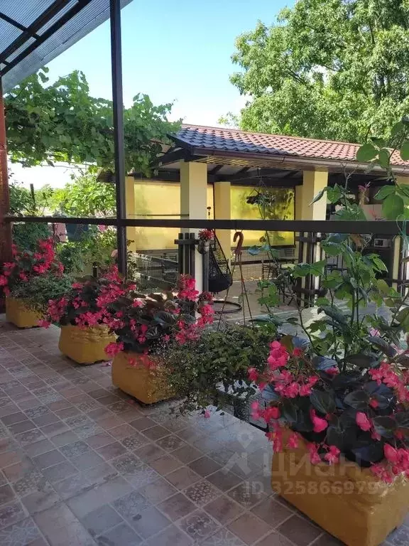 Комната Краснодарский край, Геленджик городской округ, с. ... - Фото 1