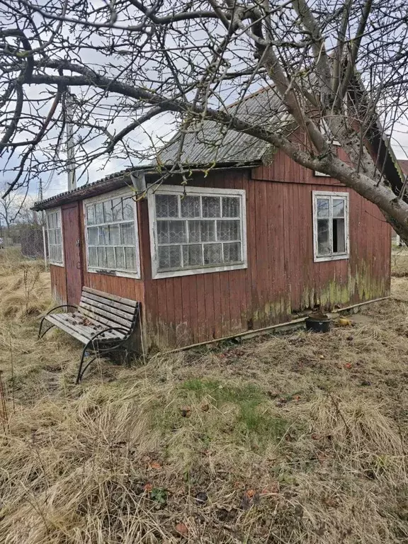 Участок в Калининградская область, Калининград Янтарь СНТ, 7-я линия ... - Фото 1