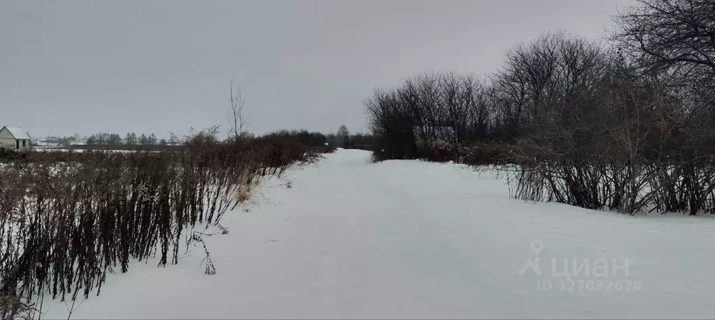 Участок в Брянская область, Брянский район, Добрунское с/пос, д. ... - Фото 1