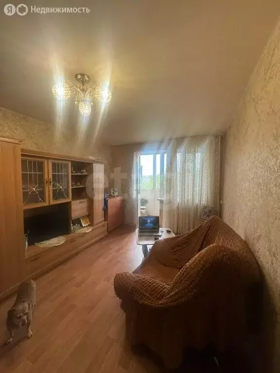 1-комнатная квартира: посёлок Школьное, улица Мира, 9 (31 м) - Фото 0