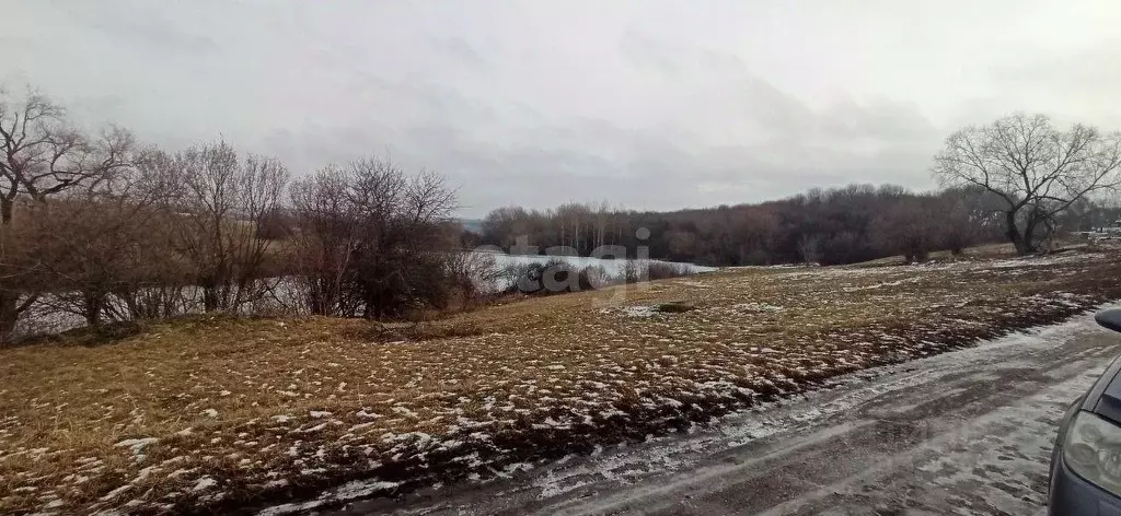 Участок в Белгородская область, Волоконовский район, с. Фощеватово  ... - Фото 1