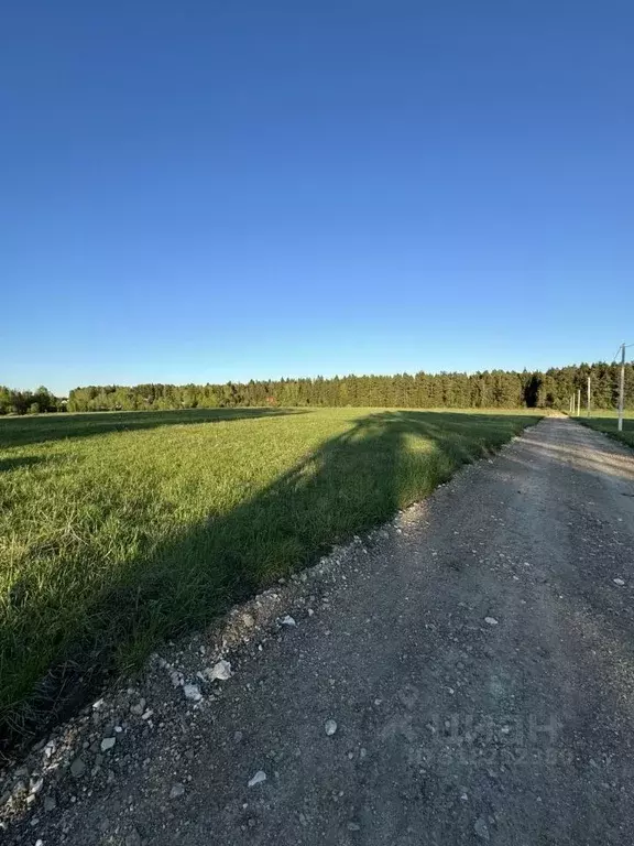 Участок в Московская область, Можайский муниципальный округ, Портфолио ... - Фото 1