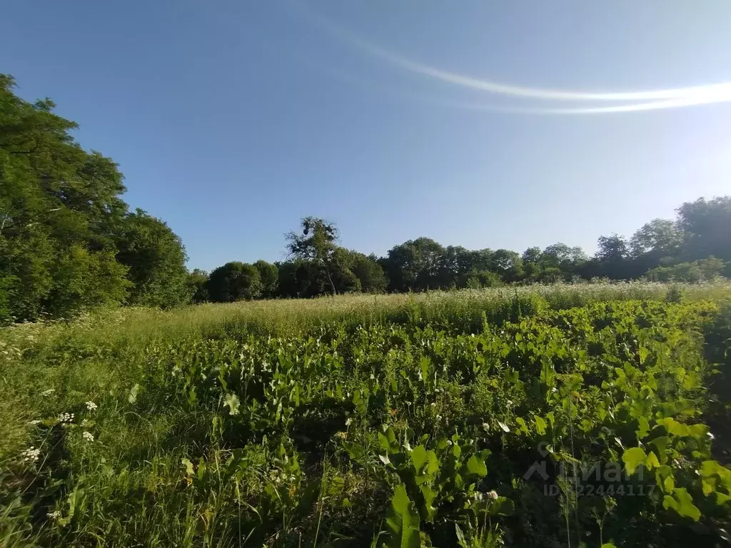 Участок в Краснодарский край, Мостовский район, Переправная ст-ца ул. ... - Фото 1