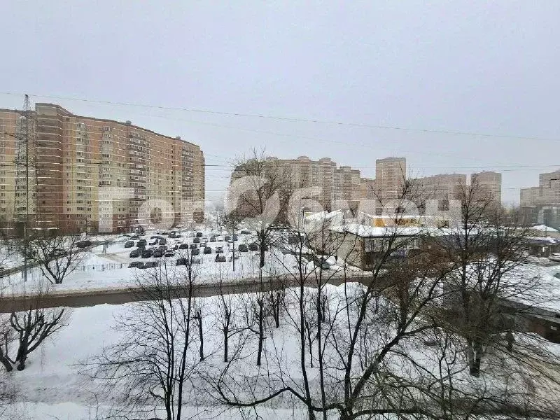 2-к кв. Московская область, Щелково просп. 60 лет Октября, 2а (54.9 м) - Фото 1