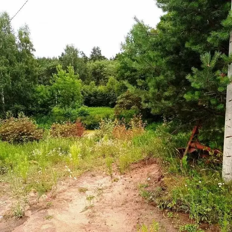 Участок в Тверская область, Калининский муниципальный округ, д. ... - Фото 2