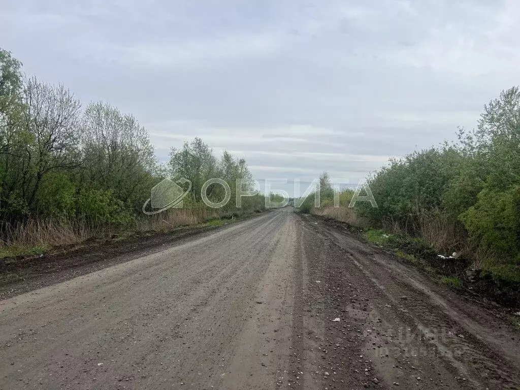 Участок в Тюменская область, Тюмень Ясень садовое товарищество,  (10.0 ... - Фото 1