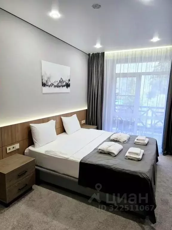 1-к кв. Краснодарский край, Сочи Красная Поляна пгт, ул. Ачишховская, ... - Фото 1