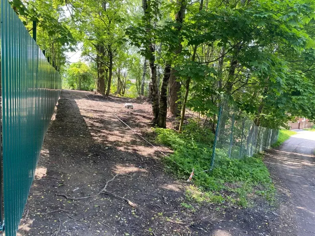 Участок в Ленинградская область, Всеволожский район, Токсовское ... - Фото 1