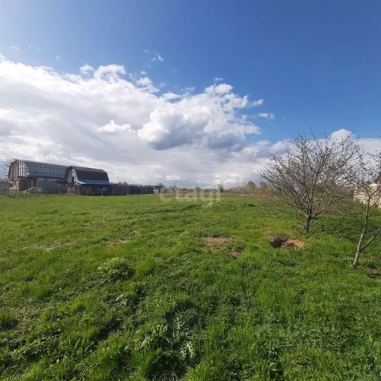 Участок в Воронежская область, Хохольский район, Гремяченское с/пос, ... - Фото 1