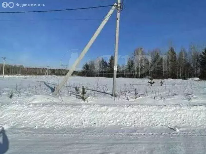 Участок в Тюменский район, деревня Большие Акияры (8 м) - Фото 0