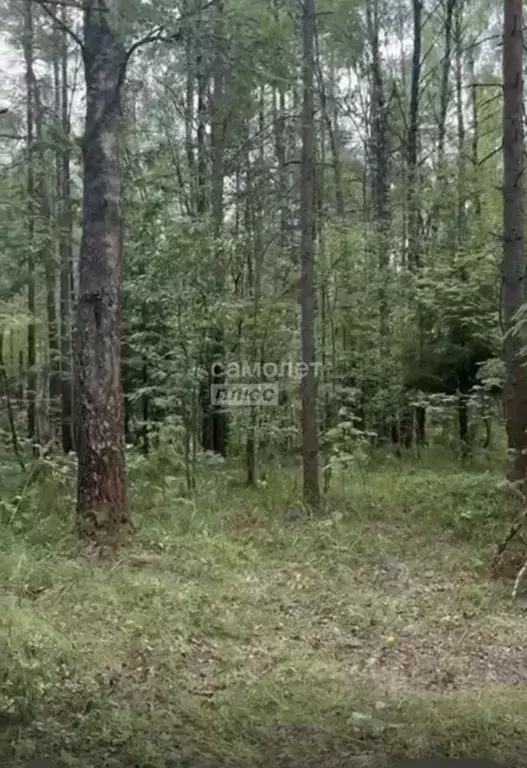 Участок в Вологодская область, Череповецкий район, пос. Неверов Бор ... - Фото 1