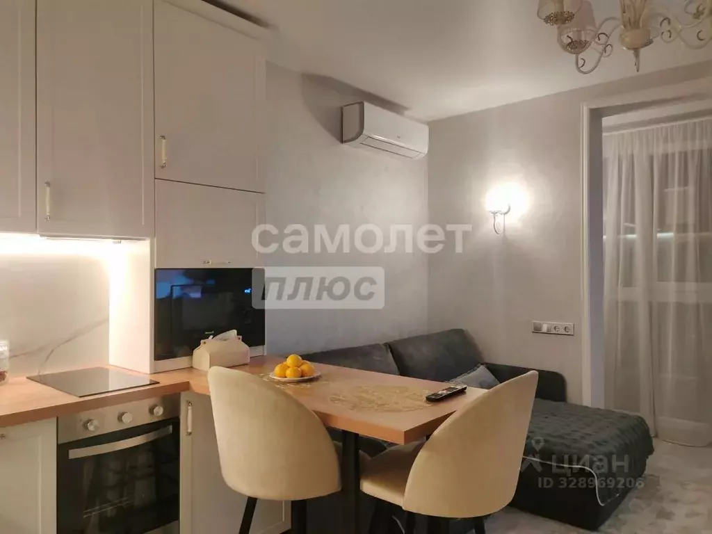 Студия Москва просп. Прокшинский, 12 (24.0 м) - Фото 2