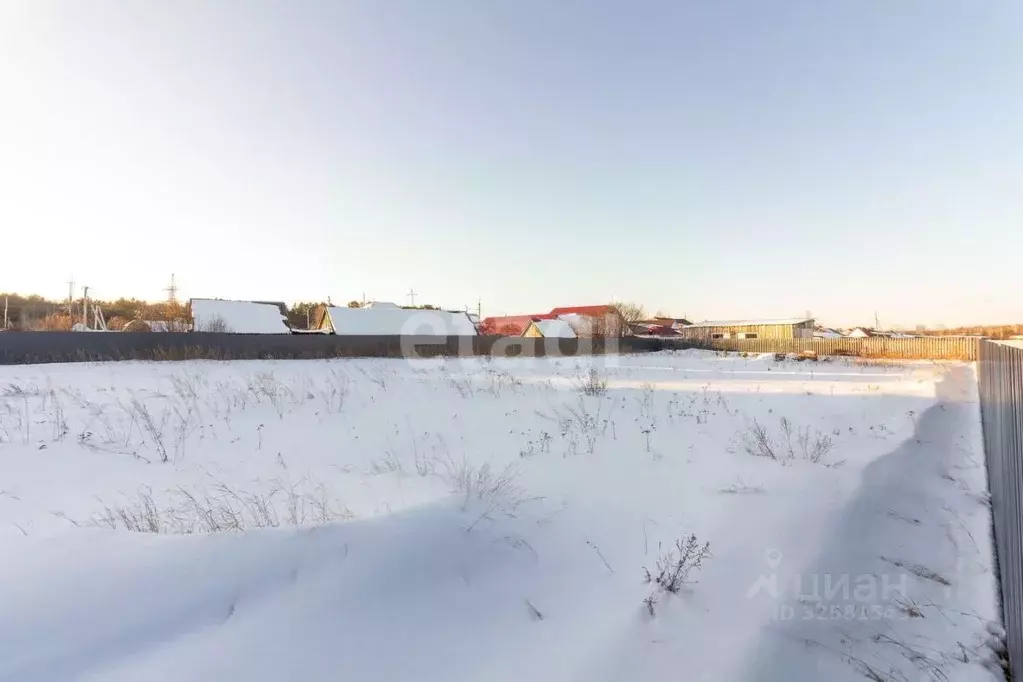 Участок в Тюменская область, Тюменский муниципальный округ, с. Каменка ... - Фото 2