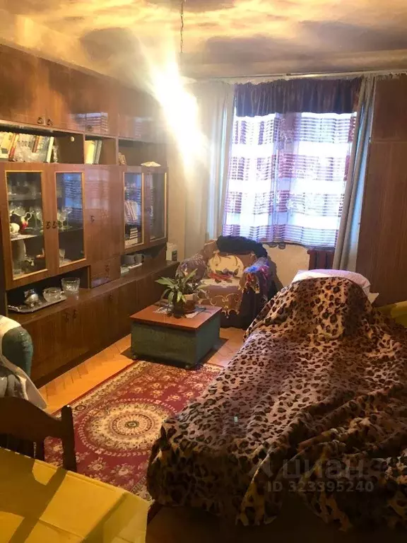 Комната Московская область, Щелково ул. Беляева, 5 (20.0 м) - Фото 1