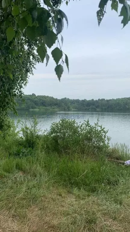 Участок в Нижегородская область, Богородский муниципальный округ, с. ... - Фото 0