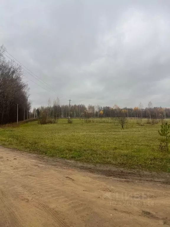 Участок в Тульская область, Щекинский район, Крапивенское с/пос, с. ... - Фото 2