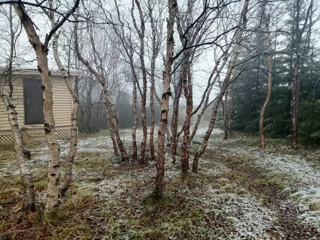 Дом в Мурманская область, Мурманск ул. Огни Мурманска (25 м) - Фото 1