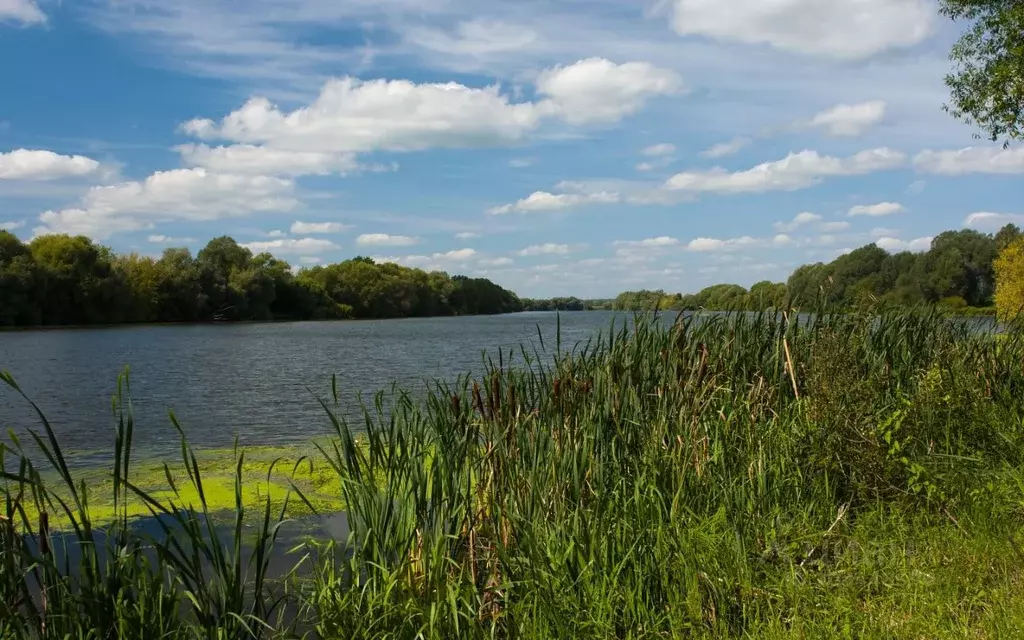 Участок в Московская область, Раменский городской округ, Адмирал кп  ... - Фото 1