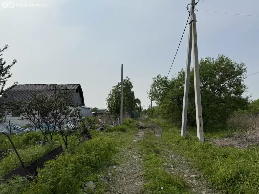 Участок в Артём, СТ Светофор-2 (9 м) - Фото 1